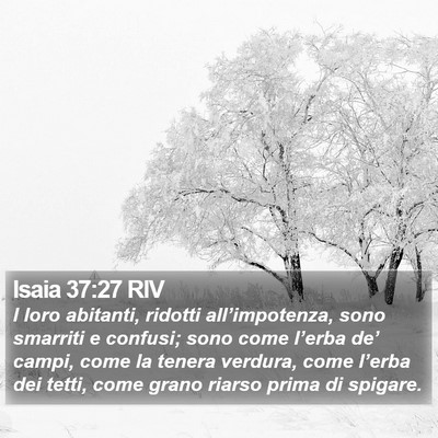 Isaia 37:27 RIV Bible Verse Image