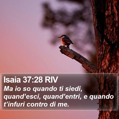 Isaia 37:28 RIV Bible Verse Image