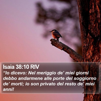 Isaia 38:10 RIV Bible Verse Image