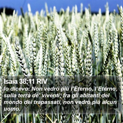 Isaia 38:11 RIV Bible Verse Image