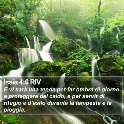 Isaia 4:6 RIV Bible Verse Image