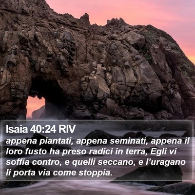 Isaia 40:24 RIV Bible Verse Image