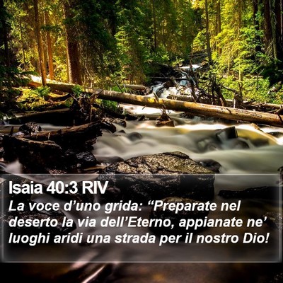 Isaia 40:3 RIV Bible Verse Image