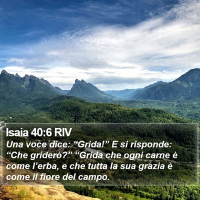 Isaia 40:6 RIV Bible Verse Image