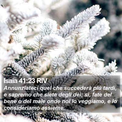 Isaia 41:23 RIV Bible Verse Image