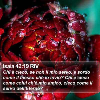 Isaia 42:19 RIV Bible Verse Image