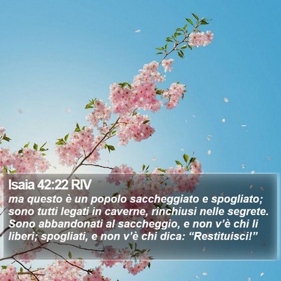 Isaia 42:22 RIV Bible Verse Image