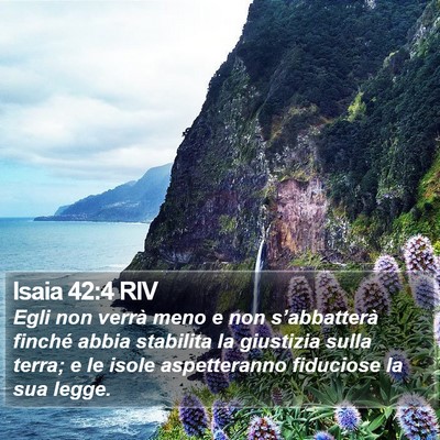 Isaia 42:4 RIV Bible Verse Image