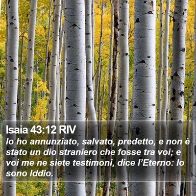 Isaia 43:12 RIV Bible Verse Image