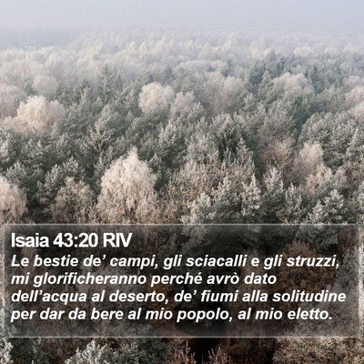 Isaia 43:20 RIV Bible Verse Image