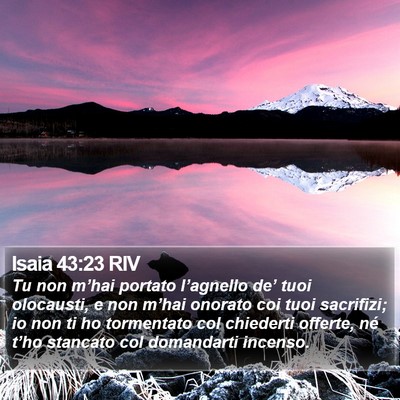 Isaia 43:23 RIV Bible Verse Image