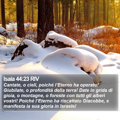 Isaia 44:23 RIV Bible Verse Image