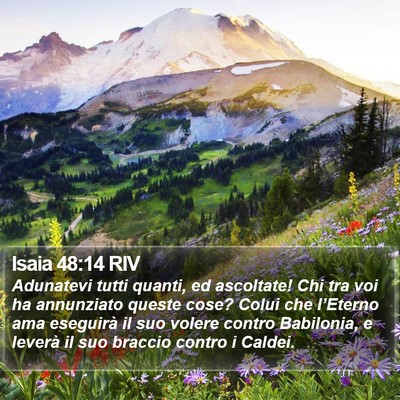 Isaia 48:14 RIV Bible Verse Image