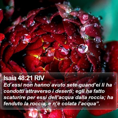 Isaia 48:21 RIV Bible Verse Image