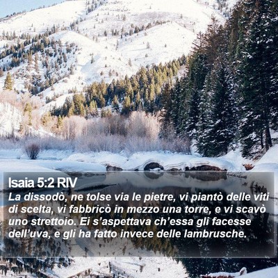 Isaia 5:2 RIV Bible Verse Image