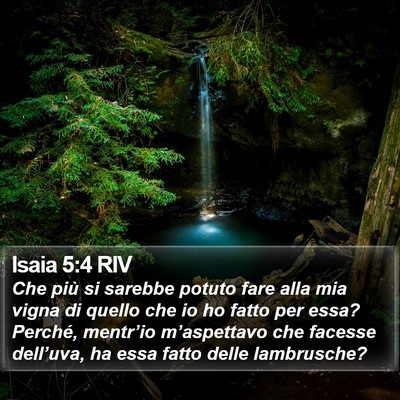 Isaia 5:4 RIV Bible Verse Image