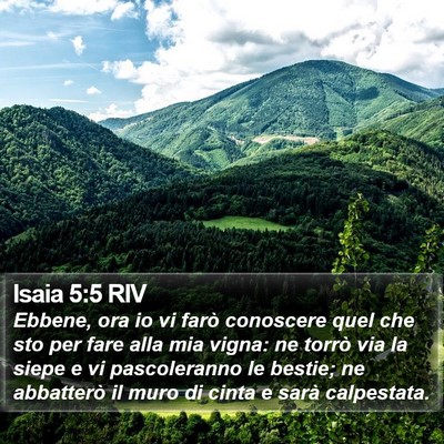 Isaia 5:5 RIV Bible Verse Image
