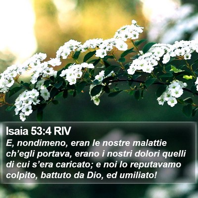 Isaia 53:4 RIV Bible Verse Image