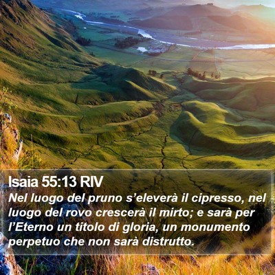 Isaia 55:13 RIV Bible Verse Image