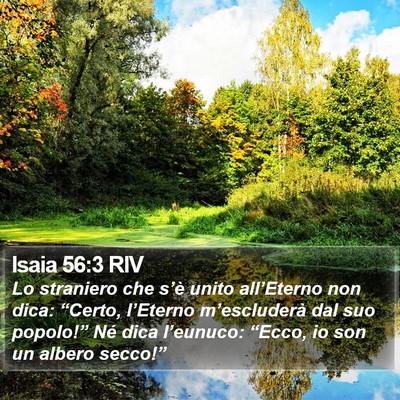 Isaia 56:3 RIV Bible Verse Image