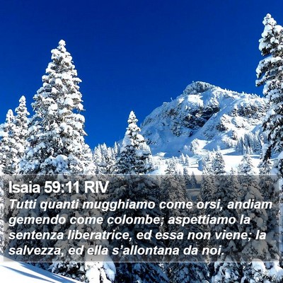 Isaia 59:11 RIV Bible Verse Image