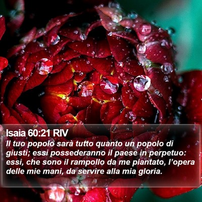 Isaia 60:21 RIV Bible Verse Image