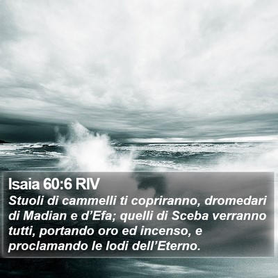 Isaia 60:6 RIV Bible Verse Image