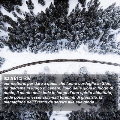 Isaia 61:3 RIV Bible Verse Image