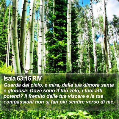 Isaia 63:15 RIV Bible Verse Image
