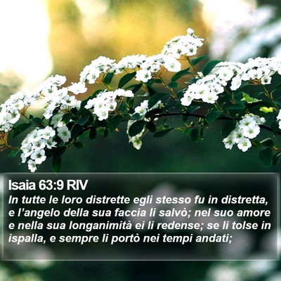 Isaia 63:9 RIV Bible Verse Image