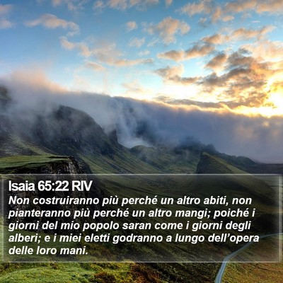 Isaia 65:22 RIV Bible Verse Image