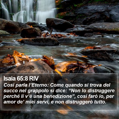 Isaia 65:8 RIV Bible Verse Image