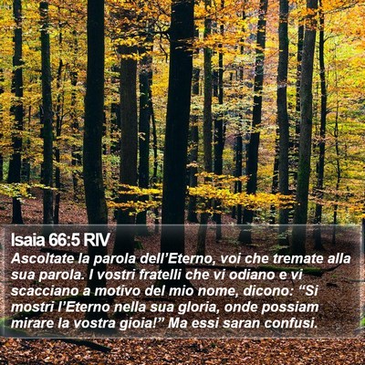 Isaia 66:5 RIV Bible Verse Image