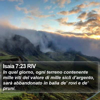 Isaia 7:23 RIV Bible Verse Image