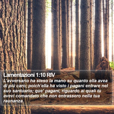 Lamentazioni 1:10 RIV Bible Verse Image