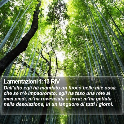 Lamentazioni 1:13 RIV Bible Verse Image