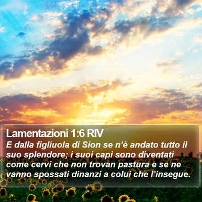Lamentazioni 1:6 RIV Bible Verse Image