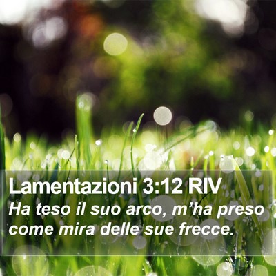 Lamentazioni 3:12 RIV Bible Verse Image