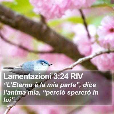 Lamentazioni 3:24 RIV Bible Verse Image