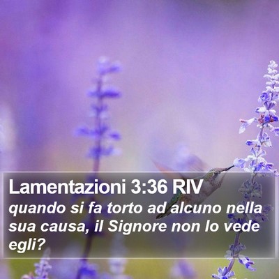 Lamentazioni 3:36 RIV Bible Verse Image