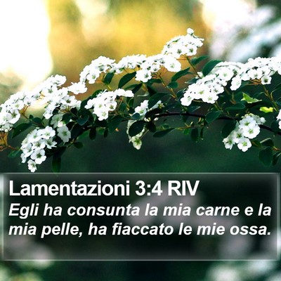 Lamentazioni 3:4 RIV Bible Verse Image