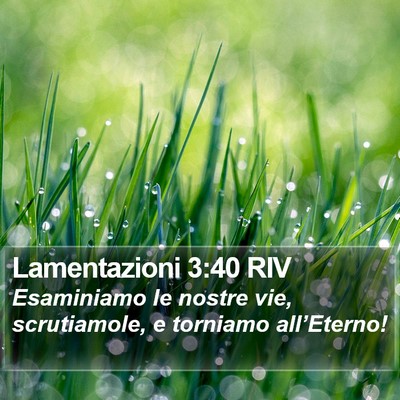 Lamentazioni 3:40 RIV Bible Verse Image