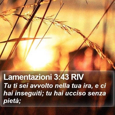 Lamentazioni 3:43 RIV Bible Verse Image