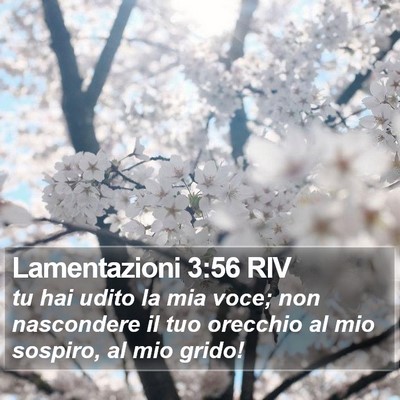 Lamentazioni 3:56 RIV Bible Verse Image