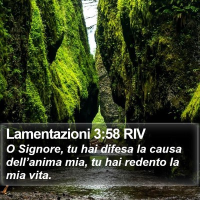Lamentazioni 3:58 RIV Bible Verse Image