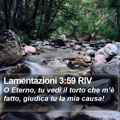 Lamentazioni 3:59 RIV Bible Verse Image
