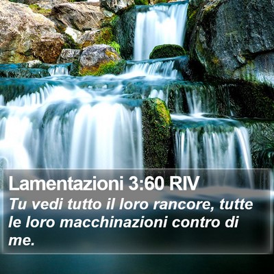Lamentazioni 3:60 RIV Bible Verse Image
