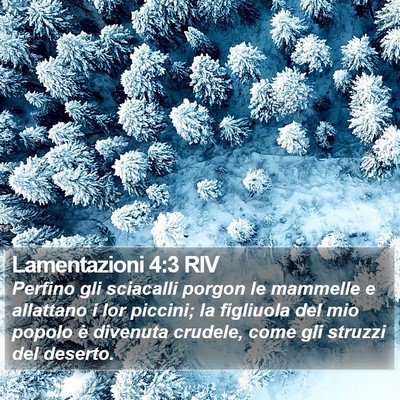 Lamentazioni 4:3 RIV Bible Verse Image