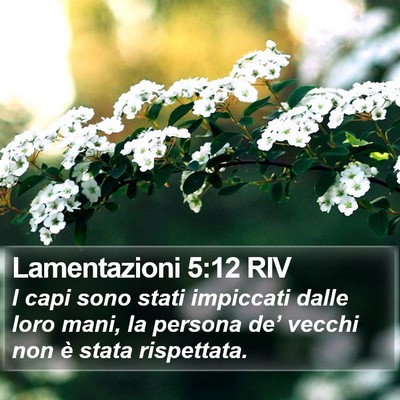 Lamentazioni 5:12 RIV Bible Verse Image