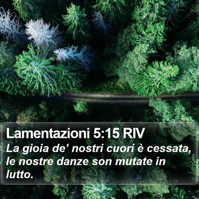 Lamentazioni 5:15 RIV Bible Verse Image